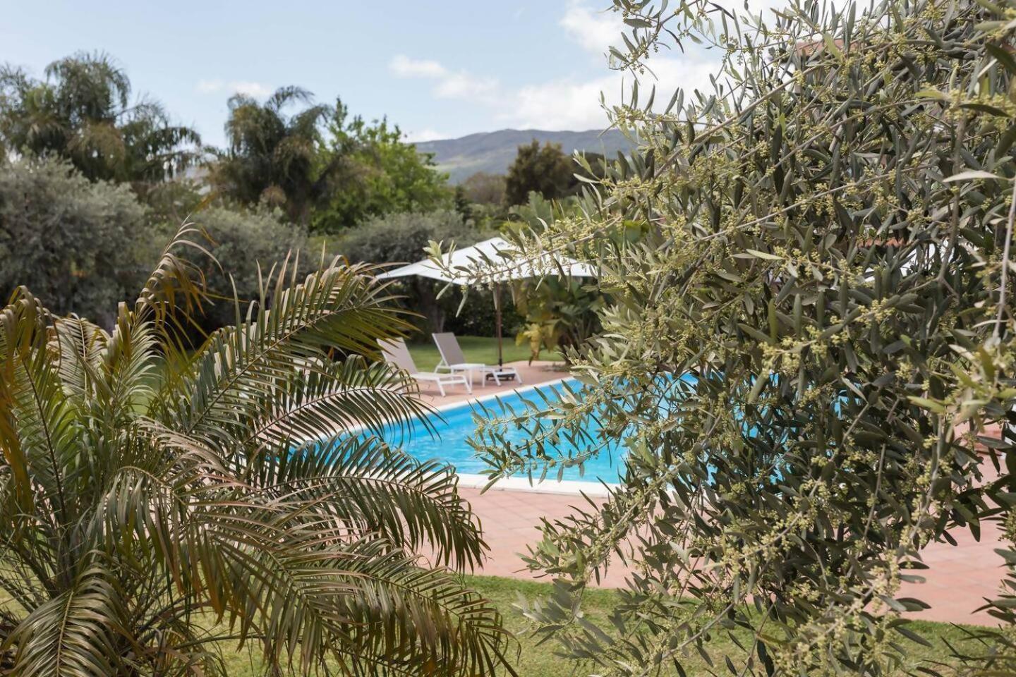 Villa Ginevra ซานตา เวเนรินา ภายนอก รูปภาพ