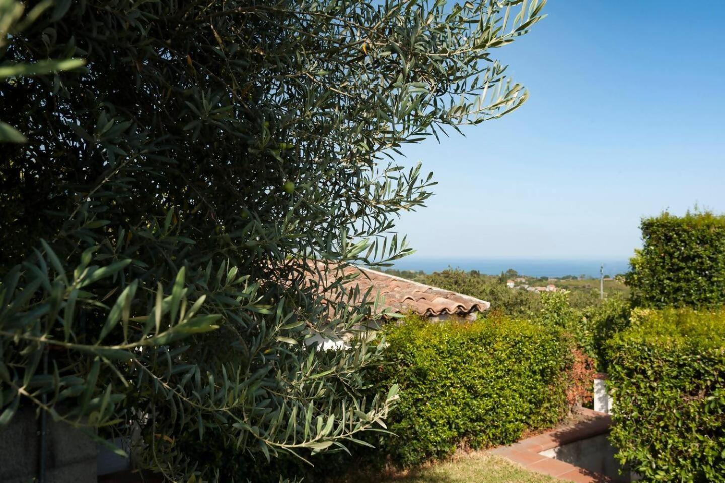 Villa Ginevra ซานตา เวเนรินา ภายนอก รูปภาพ